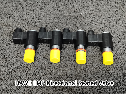 HAWE EMP 31 V 80-G 12