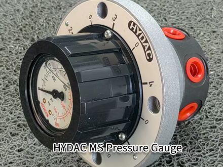 HYDAC MS2A21/60/870/ 