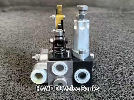 HAWE DL 11-1-N-B 50/E 2-2-180