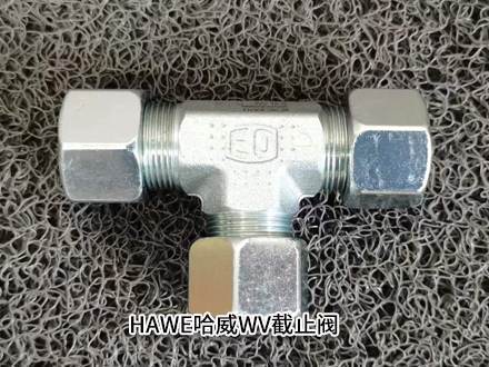 HAWE WV 10-S
